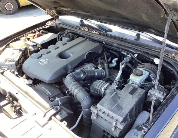 Bare Engine NISSAN NP300 NAVARA (D40), NISSAN NP300 NAVARA Platform/Chassis (D40)