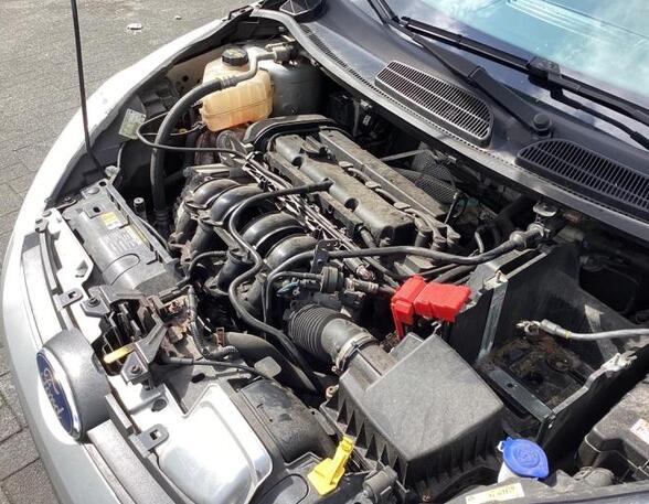 Bare Engine FORD FIESTA VI (CB1, CCN)