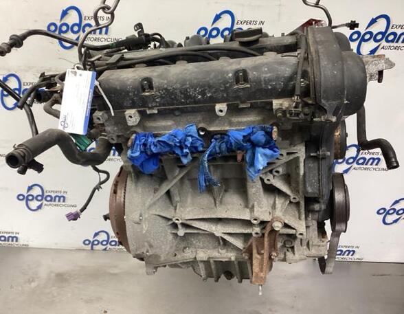 Bare Engine FORD FIESTA VI (CB1, CCN)