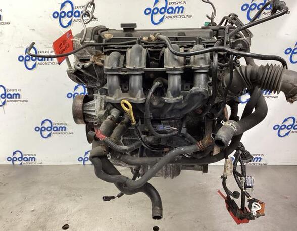 Bare Engine FORD FIESTA VI (CB1, CCN)