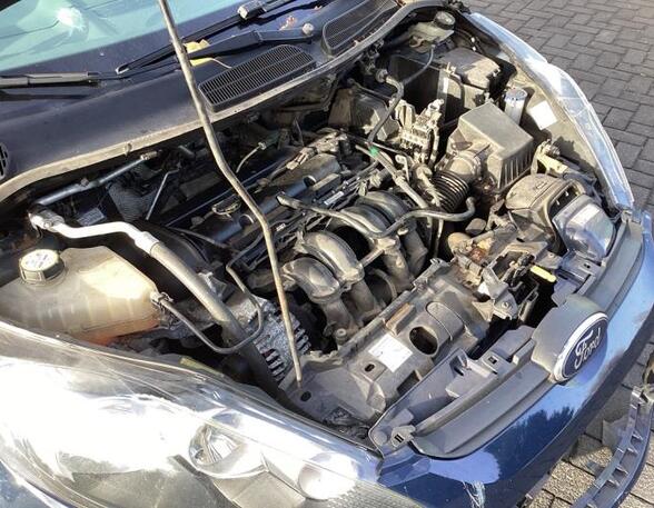 Bare Engine FORD FIESTA VI (CB1, CCN)