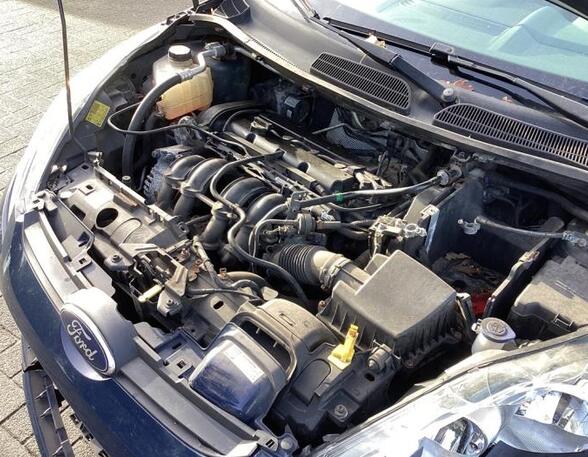 Bare Engine FORD FIESTA VI (CB1, CCN)