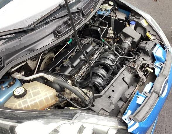 Bare Engine FORD FIESTA VI (CB1, CCN)