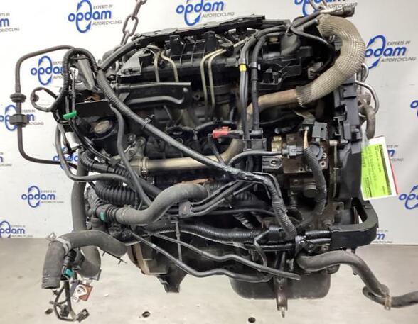 Bare Engine FORD FIESTA VI (CB1, CCN)