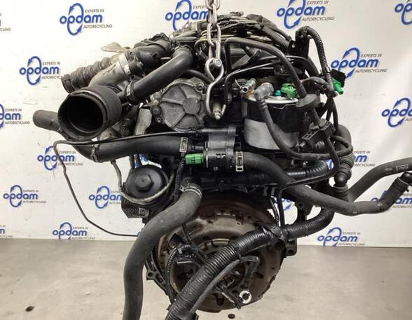 Bare Engine FORD FIESTA VI (CB1, CCN)