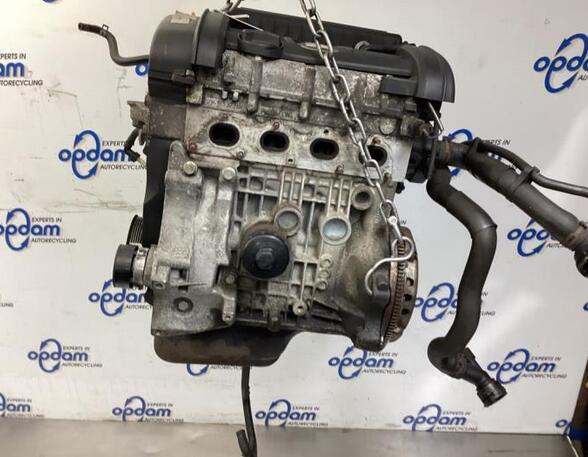 Motor kaal SEAT IBIZA III (6L1)