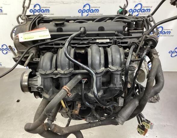 Motor kaal FORD FIESTA VI (CB1, CCN)