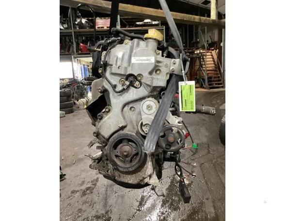 Bare Engine RENAULT CLIO III (BR0/1, CR0/1)