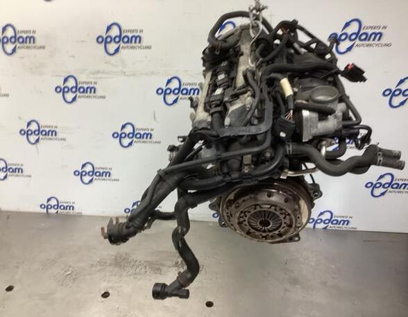 Motor kaal SEAT IBIZA III (6L1)