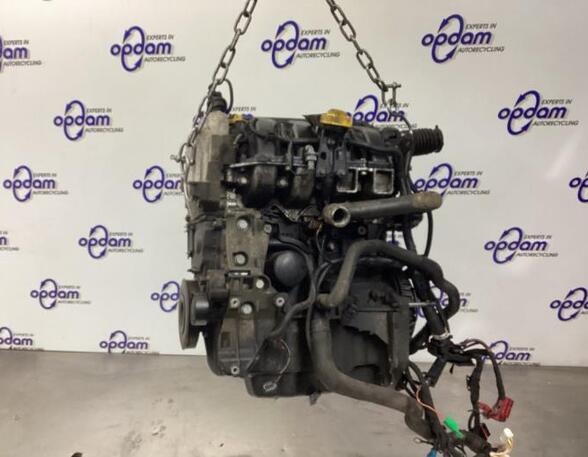 Bare Engine RENAULT CLIO III (BR0/1, CR0/1), RENAULT CLIO II (BB_, CB_)