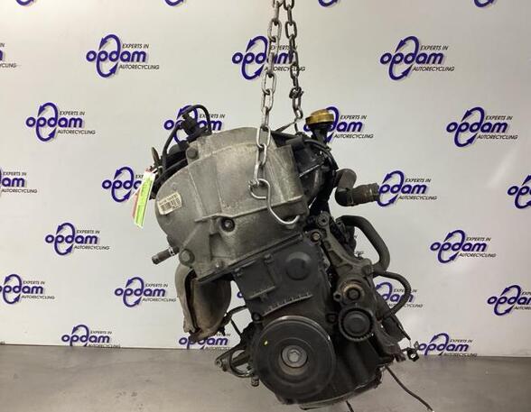 Motor kaal RENAULT CLIO III (BR0/1, CR0/1), RENAULT CLIO II (BB_, CB_)