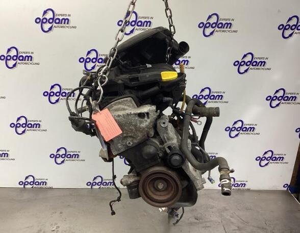 Motor kaal RENAULT CLIO III (BR0/1, CR0/1), RENAULT CLIO IV (BH_)