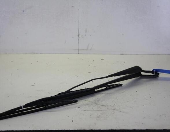 Wiper Arm PEUGEOT 206+ (2L_, 2M_)