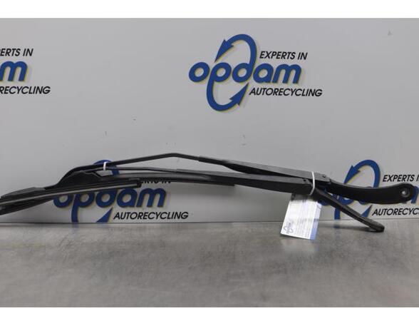 Wiper Arm RENAULT MEGANE II Coupé-Cabriolet (EM0/1_)