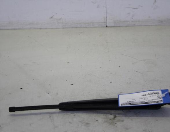 Wiper Arm SEAT LEON (1P1)