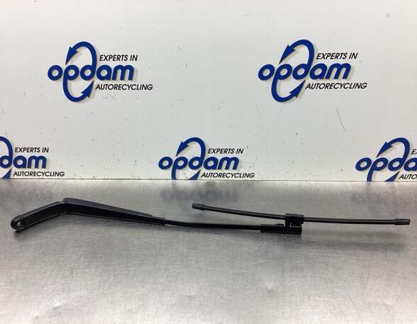 Wiper Arm VW TOURAN (1T1, 1T2), VW TOURAN (1T3), VW TOURAN VAN (1T1, 1T2)