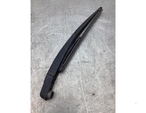 Wiper Arm DACIA DUSTER (HS_), DACIA LOGAN MCV (KS_), DACIA DUSTER SUV Van, DACIA LOGAN (LS_)