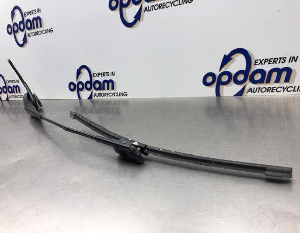 Wiper Arm FORD FOCUS C-MAX (DM2), FORD C-MAX (DM2), FORD KUGA I, FORD KUGA II (DM2)