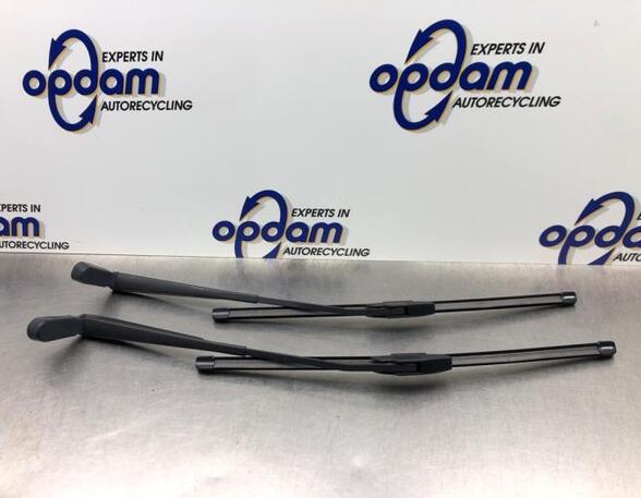 Wiper Arm DACIA LOGAN MCV (KS_), DACIA LOGAN (LS_), DACIA DUSTER (HS_), RENAULT LOGAN I Estate (KS_)