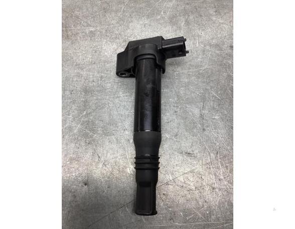 Ignition Coil OPEL CORSA F (P2JO), PEUGEOT 2008 I (CU_), PEUGEOT 208 I (CA_, CC_)