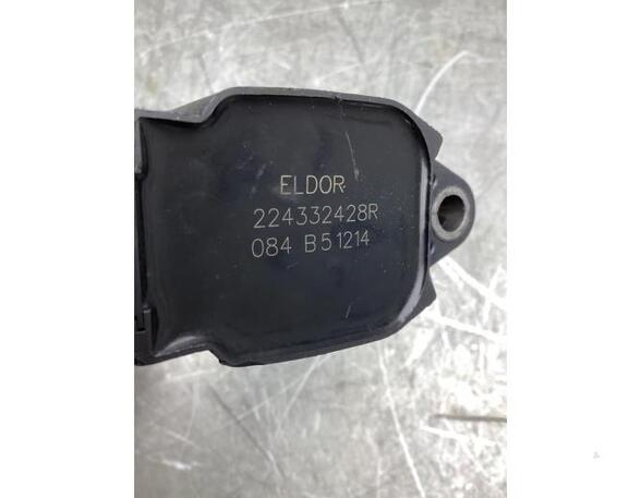 Ignition Coil RENAULT MEGANE III Hatchback (BZ0/1_, B3_)