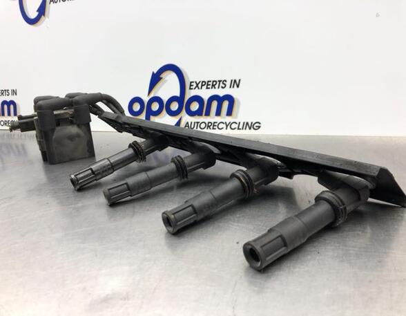 Ignition Coil VW POLO (6N2)