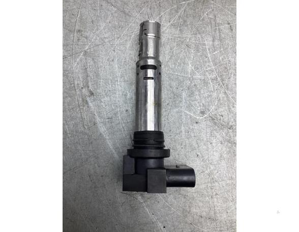 Ignition Coil VW GOLF PLUS (5M1, 521), VW GOLF V (1K1), VW GOLF VI (5K1), VW GOLF VAN VI Variant (AJ5)