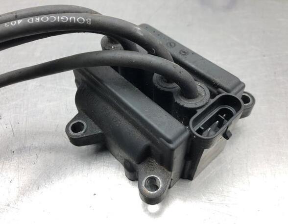 Ignition Coil RENAULT CLIO III (BR0/1, CR0/1)