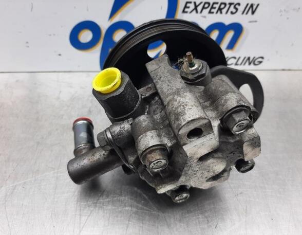 Power steering pump CHEVROLET AVEO / KALOS Hatchback (T250, T255)