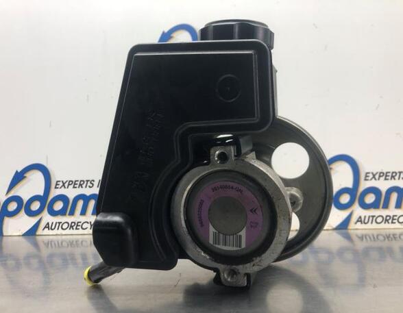 Power steering pump PEUGEOT 206 Hatchback (2A/C), PEUGEOT 206 Saloon, PEUGEOT 206+ (2L_, 2M_)