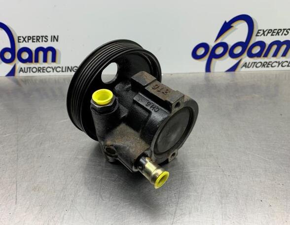 Power steering pump RENAULT KANGOO (KC0/1_)