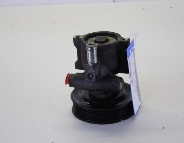 Power steering pump VW POLO (6N2)