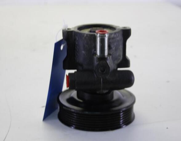 Power steering pump VW POLO (6N2)