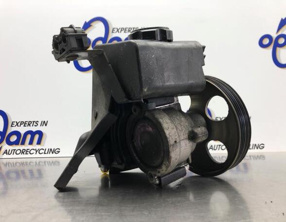 Power steering pump PEUGEOT 206+ (2L_, 2M_), PEUGEOT 206 Hatchback (2A/C), PEUGEOT 206 Saloon