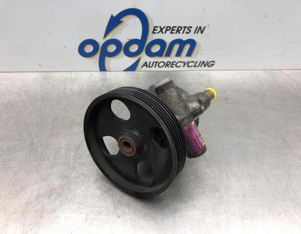 Power steering pump RENAULT LAGUNA II (BG0/1_)