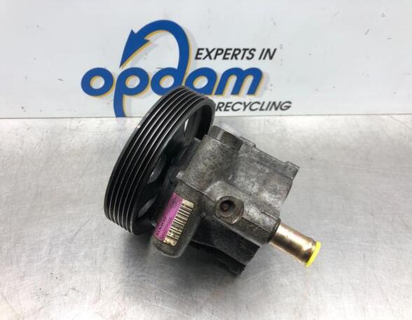 Power steering pump RENAULT LAGUNA II (BG0/1_)