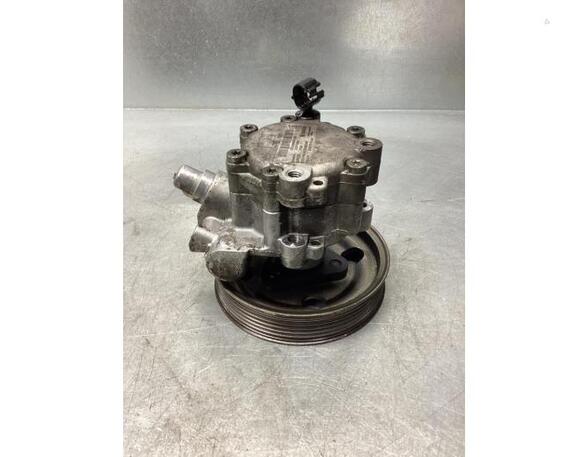 Power steering pump FIAT DOBLO Cargo (263_), FIAT DOBLO Platform/Chassis (263_)