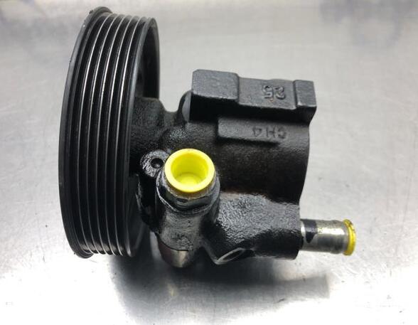 Power steering pump DACIA DUSTER (HS_), DACIA LOGAN MCV (KS_)