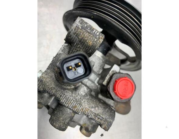 Power steering pump FORD TRANSIT CONNECT (P65_, P70_, P80_)