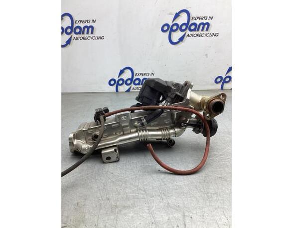 Cooler for exhaust recuperation BMW 3 (F30, F80)