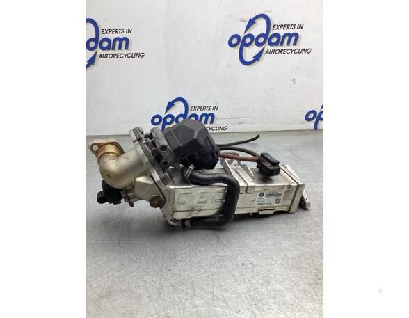 Koeler voor EGR BMW 3 (F30, F80)