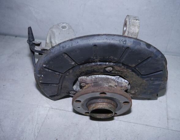 Stub Axle VW Passat Variant (365)