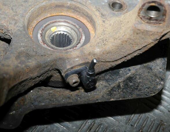 Stub Axle FIAT Grande Punto (199), FIAT Punto (199), FIAT Punto Evo (199)