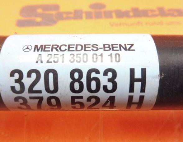 Drive Shaft MERCEDES-BENZ R-Klasse (V251, W251)