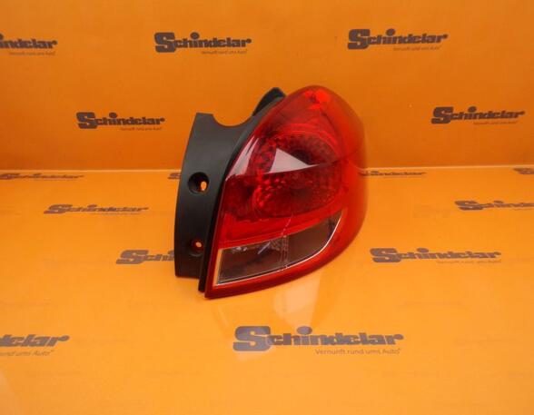 Combination Rearlight RENAULT Clio III Grandtour (KR0/1)