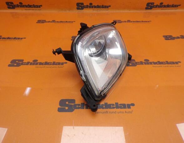 Fog Light PORSCHE Cayenne (9PA)