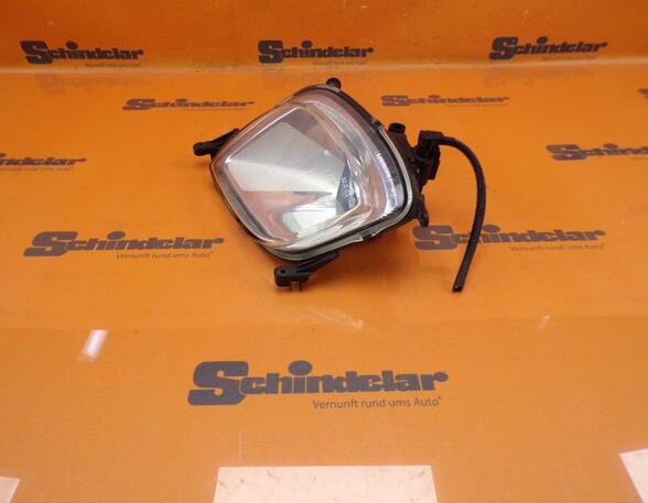 Fog Light PORSCHE Cayenne (9PA)