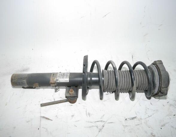 Suspension Strut AUDI A2 (8Z0)