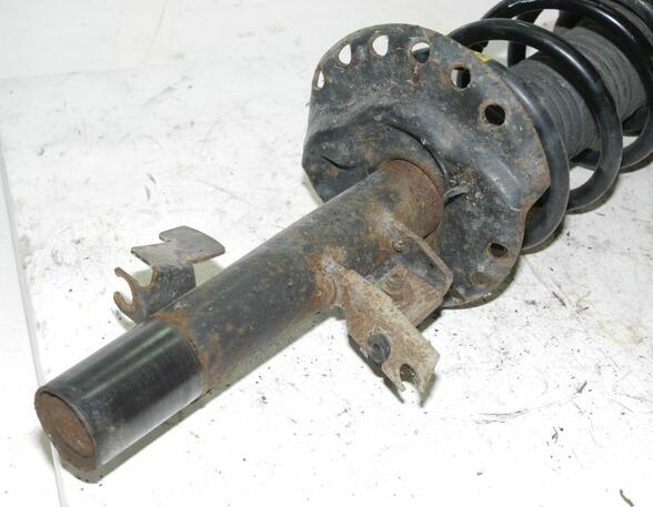 Suspension Strut FORD Galaxy (WA6), FORD S-Max (WA6)