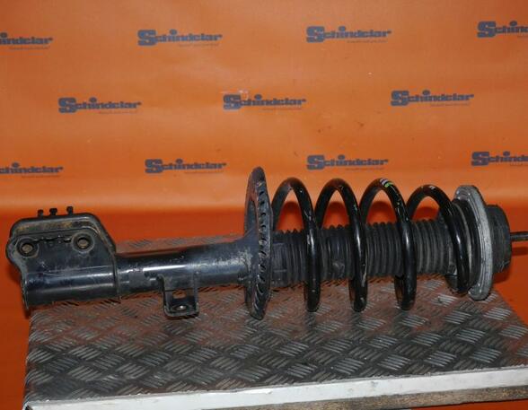 Suspension Strut VW Transporter V Kasten (7EA, 7EH, 7HA, 7HH), VW Transporter VI Kasten (SGA, SGH, SHA, SHH)